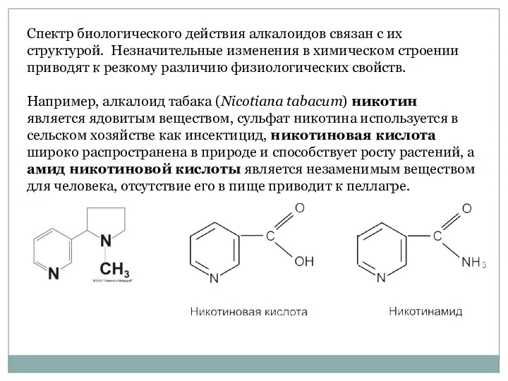 Спектр биологического действия алкалоидов связан с их структурой. Незначительные изменения