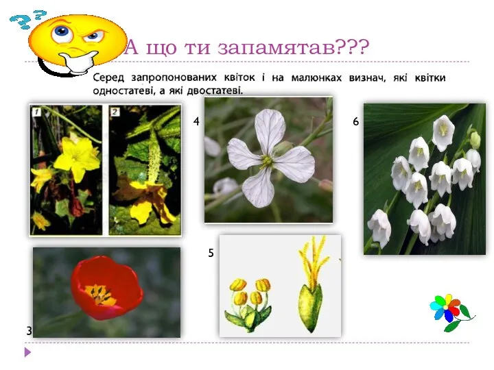 А що ти запамятав??? 3 4 5 6