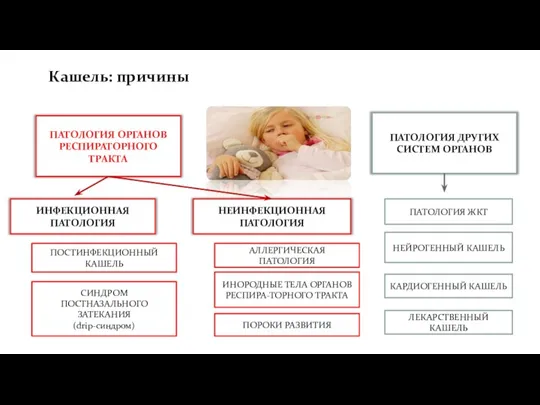 ЛЕКАРСТВЕННЫЙ КАШЕЛЬ КАРДИОГЕННЫЙ КАШЕЛЬ Кашель: причины ПАТОЛОГИЯ ОРГАНОВ РЕСПИРАТОРНОГО ТРАКТА