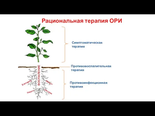 Рациональная терапия ОРИ Симптоматическая терапия Противовоспалительная терапия Противоинфекционная терапия ВОСПАЛЕНИЕ Бактерии Вирусы Вирусы Бактерии