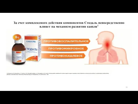 За счет комплексного действия компонентов Стодаль непосредственно влияет на механизм развития кашля1