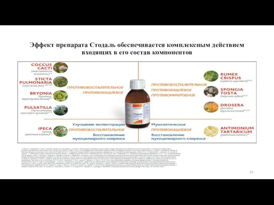 Эффект препарата Стодаль обеспечивается комплексным действием входящих в его состав компонентов