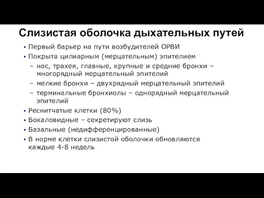 Первый барьер на пути возбудителей ОРВИ Покрыта цилиарным (мерцательным) эпителием