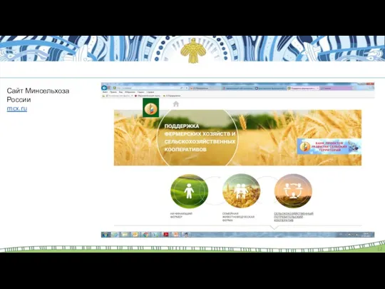 Сайт Минсельхоза России mcx.ru