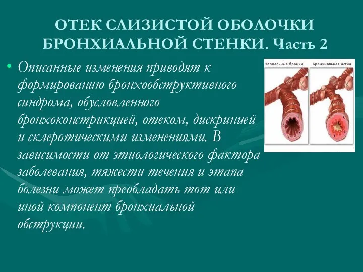 ОТЕК СЛИЗИСТОЙ ОБОЛОЧКИ БРОНХИАЛЬНОЙ СТЕНКИ. Часть 2 Описанные изменения приводят