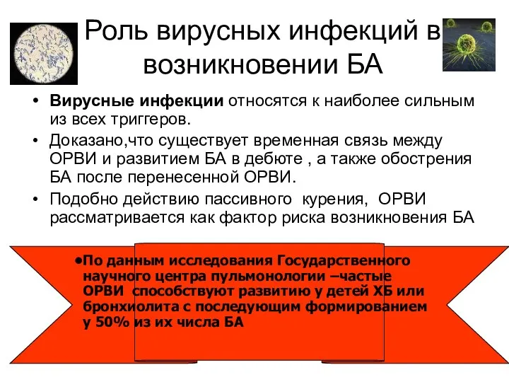 Роль вирусных инфекций в возникновении БА Вирусные инфекции относятся к