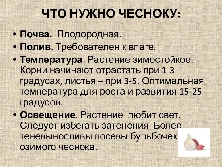 ЧТО НУЖНО ЧЕСНОКУ: Почва. Плодородная. Полив. Требователен к влаге. Температура.