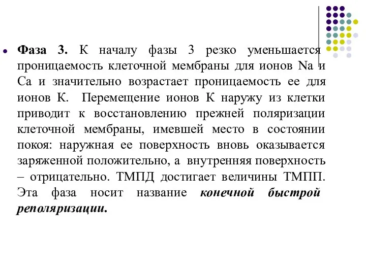 Фаза 3. К началу фазы 3 резко уменьшается проницаемость клеточной