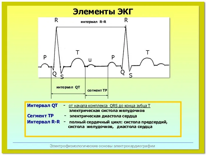 Электрофизиологические основы электрокардиографии P R R интервал R-R T P T u Q