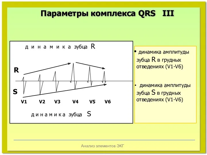 Анализ элементов ЭКГ д и н а м и к а зубца R
