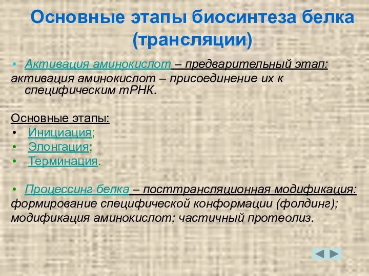 Основные этапы биосинтеза белка (трансляции) Активация аминокислот – предварительный этап: