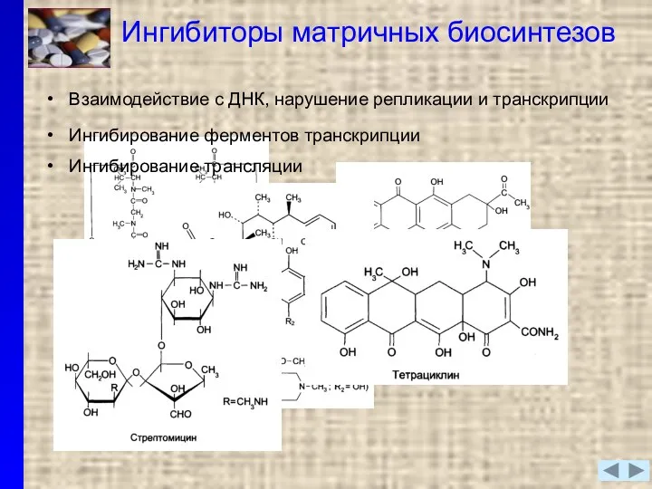 Ингибиторы матричных биосинтезов Взаимодействие с ДНК, нарушение репликации и транскрипции Ингибирование ферментов транскрипции Ингибирование трансляции