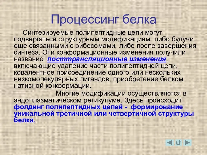 Процессинг белка Синтезируемые полипептидные цепи могут подвергаться структурным модификациям, либо