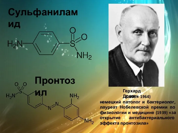 Сульфаниламид Герхард Домагк (1895 – 1964) немецкий патолог и бактериолог,