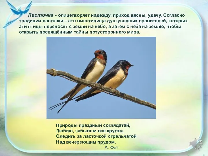 Ласточка - олицетворяет надежду, приход весны, удачу. Согласно традиции ласточки