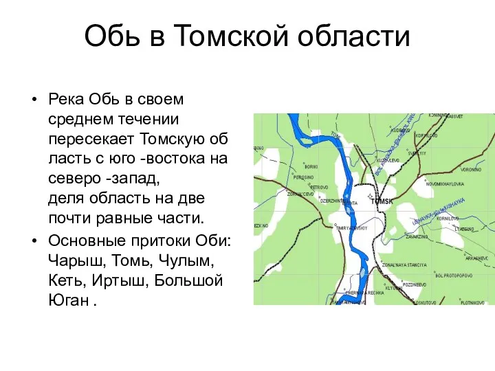 Обь в Томской области Река Обь в своем среднем течении