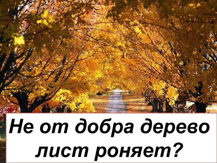 Не от добра дерево лист роняет?