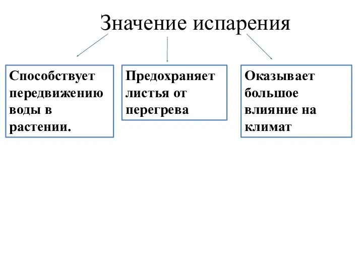 Значение испарения Способствует передвижению воды в растении. Предохраняет листья от перегрева Оказывает большое влияние на климат