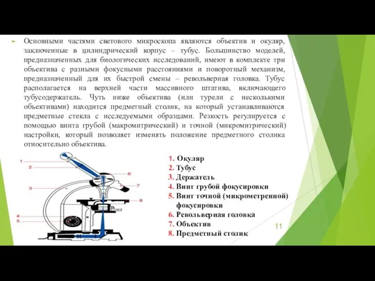 Основными частями светового микроскопа являются объектив и окуляр, заключенные в цилиндрический корпус –