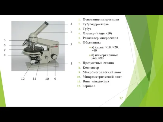 Основание микроскопа Тубусодержатель Тубус Окуляр (чаще ×10) Револьвер микроскопа Объективы а) сухие: ×10,