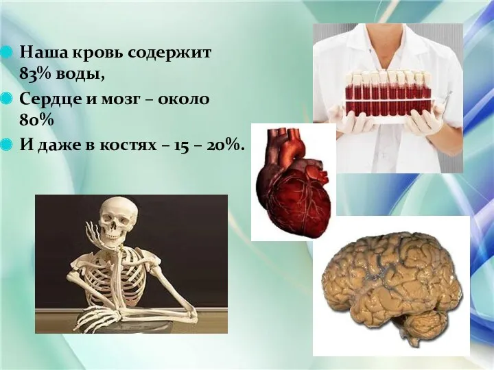 Наша кровь содержит 83% воды, Сердце и мозг – около