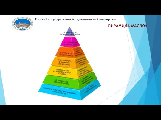 ПИРАМИДА МАСЛОУ Томский государственный педагогический университет