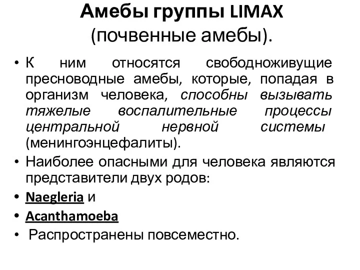 Амебы группы LIMAX (почвенные амебы). К ним относятся свободноживущие пресноводные