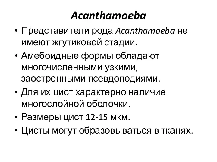 Acanthamoeba Представители рода Acanthamoeba не имеют жгутиковой стадии. Амебоидные формы