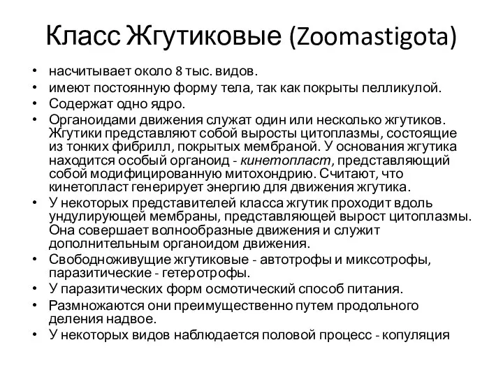 Класс Жгутиковые (Zoomastigota) насчитывает около 8 тыс. видов. имеют постоянную