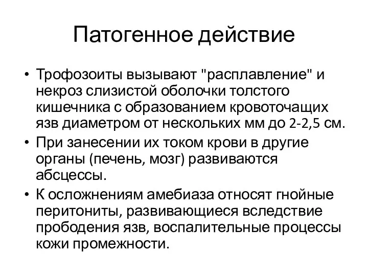 Патогенное действие Трофозоиты вызывают "расплавление" и некроз слизистой оболочки толстого