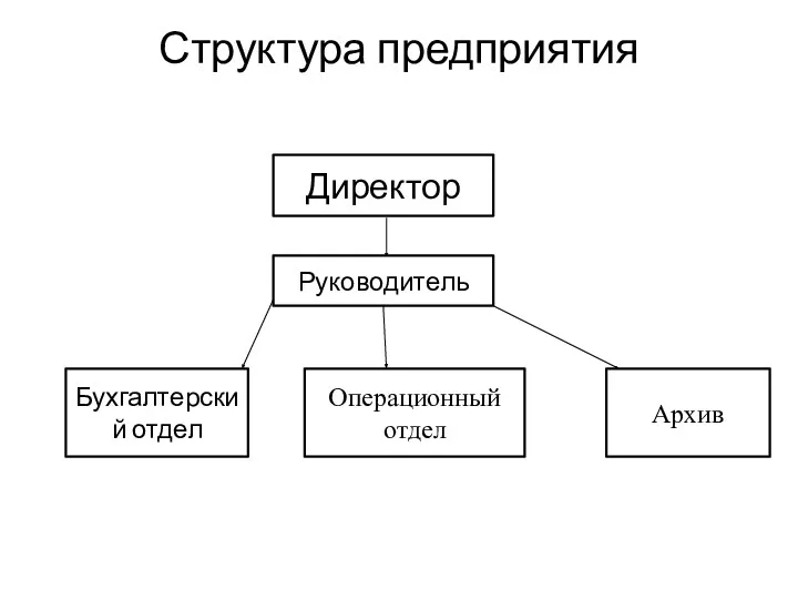 Структура предприятия Директор Руководитель Бухгалтерский отдел Операционный отдел Архив