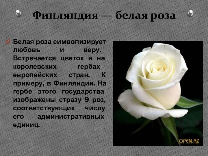 Финляндия — белая роза Белая роза символизирует любовь и веру.