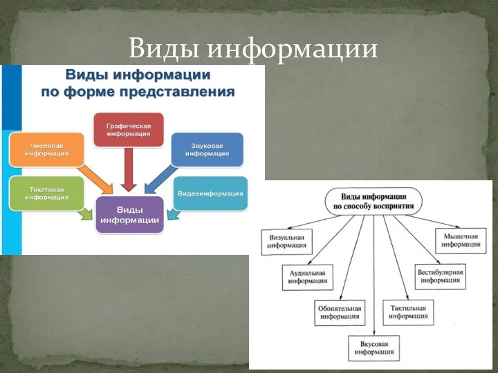 Виды информации