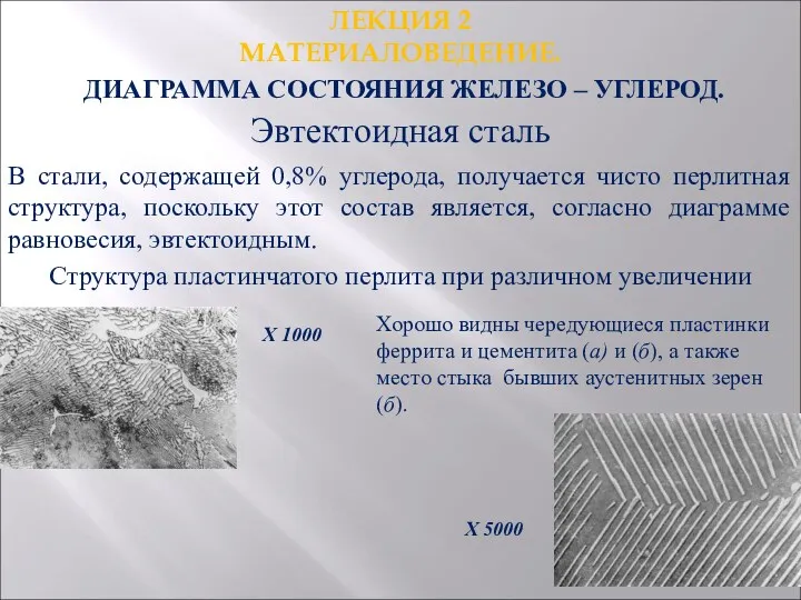 ЛЕКЦИЯ 2 МАТЕРИАЛОВЕДЕНИЕ. ДИАГРАММА СОСТОЯНИЯ ЖЕЛЕЗО – УГЛЕРОД. Эвтектоидная сталь