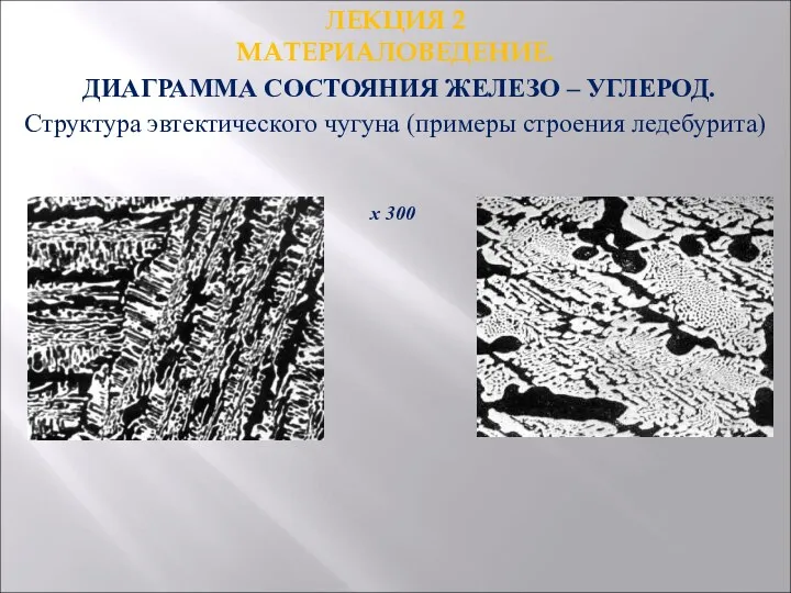 ЛЕКЦИЯ 2 МАТЕРИАЛОВЕДЕНИЕ. ДИАГРАММА СОСТОЯНИЯ ЖЕЛЕЗО – УГЛЕРОД. Структура эвтектического чугуна (примеры строения ледебурита) х 300