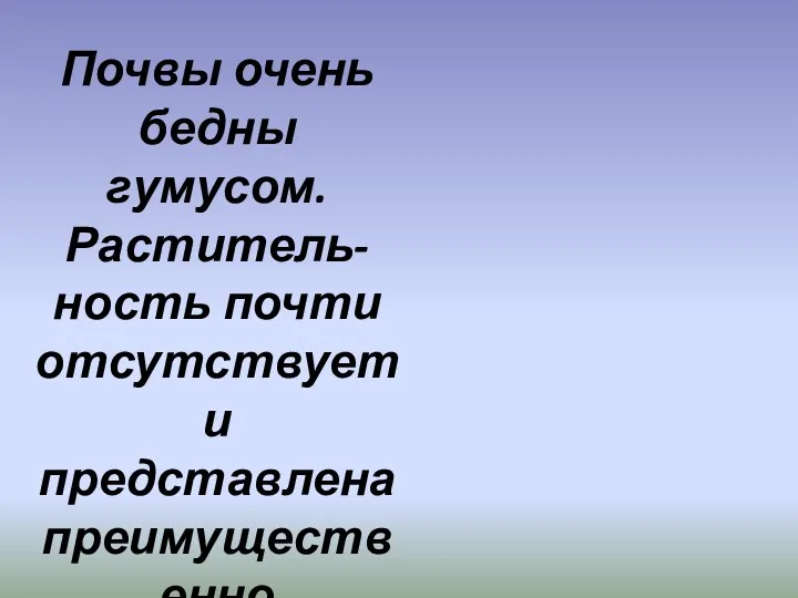 Почвы очень бедны гумусом. Раститель-ность почти отсутствует и представлена преимущественно лишайниками.