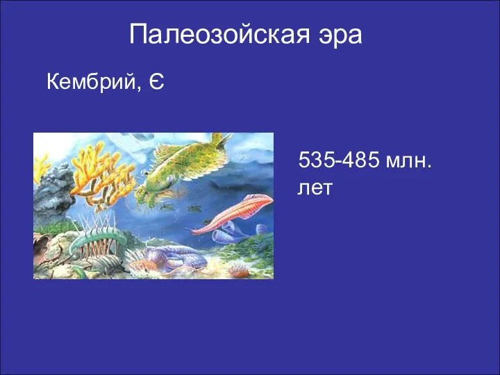 Палеозойская эра Кембрий, Є 535-485 млн. лет