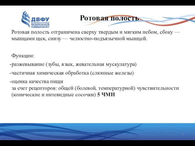 Ротовая полость отграничена сверху твердым и мягким небом, сбоку —