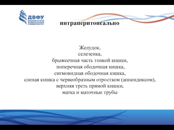 Желудок, селезенка, брыжеечная часть тонкой кишки, поперечная ободочная кишка, сигмовидная