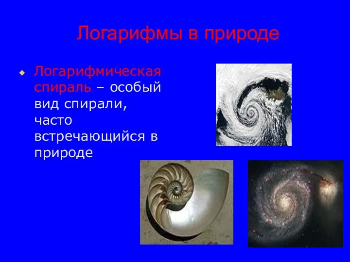 Логарифмическая спираль – особый вид спирали, часто встречающийся в природе Логарифмы в природе