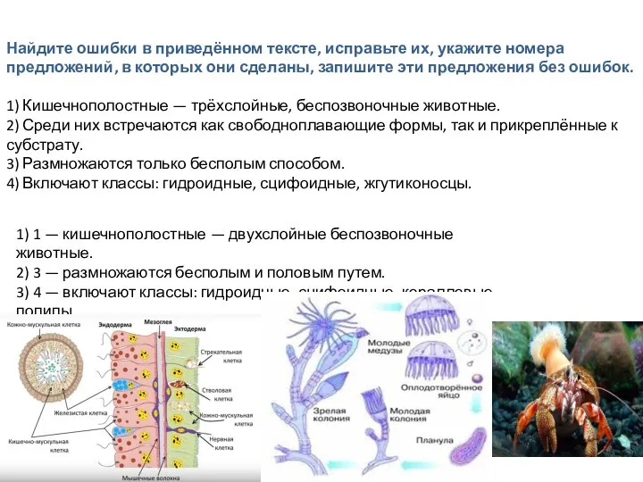 Найдите ошибки в приведённом тексте, исправьте их, укажите номера предложений,