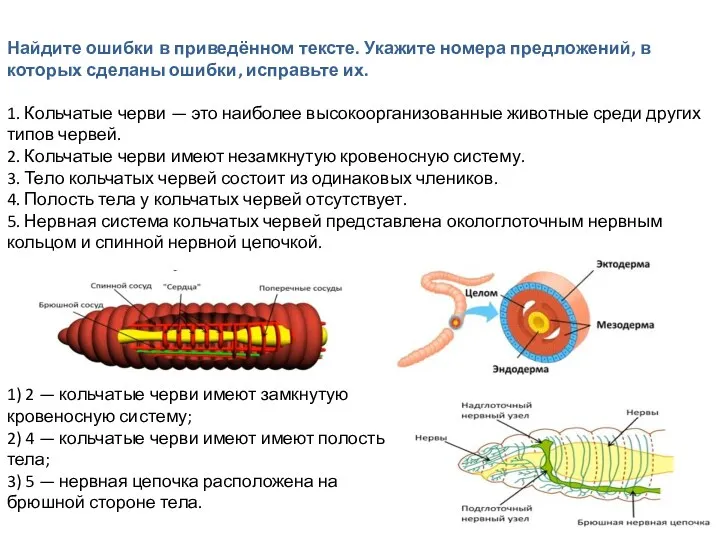 Найдите ошибки в приведённом тексте. Укажите номера предложений, в которых