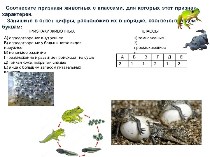 Соотнесите признаки животных с классами, для которых этот признак характерен.