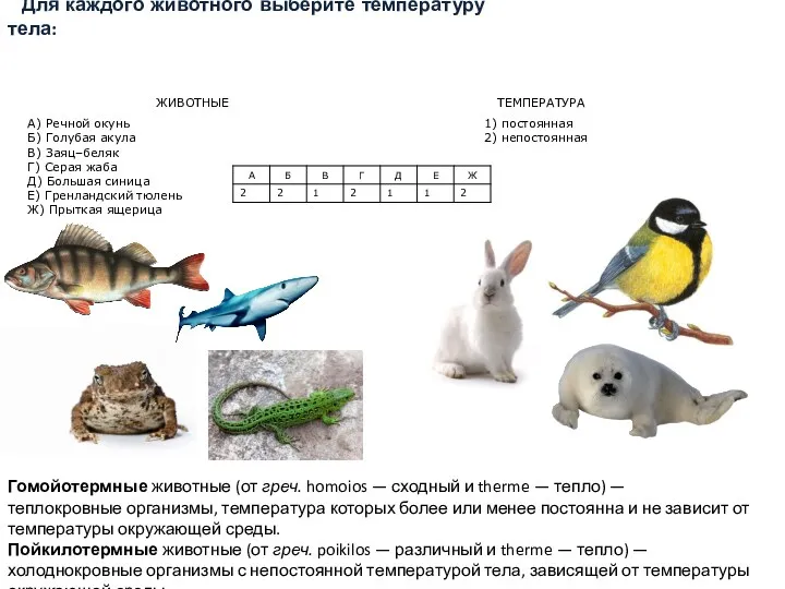 Для каждого животного выберите температуру тела: Гомойотермные животные (от греч.