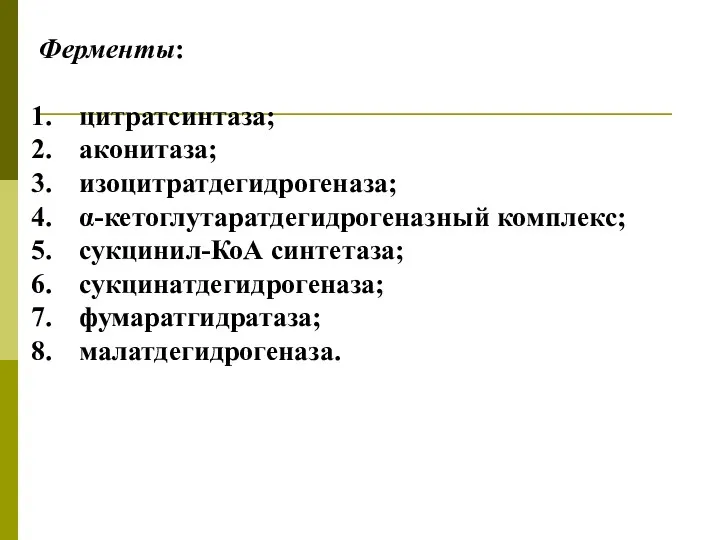 Ферменты: цитратсинтаза; аконитаза; изоцитратдегидрогеназа; α-кетоглутаратдегидрогеназный комплекс; сукцинил-КоА синтетаза; сукцинатдегидрогеназа; фумаратгидратаза; малатдегидрогеназа.