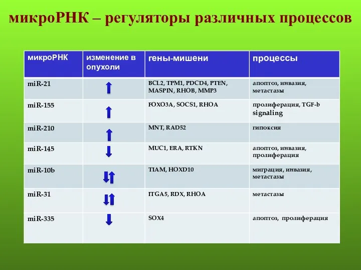 микроРНК – регуляторы различных процессов