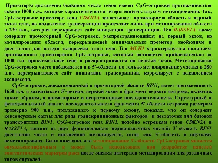 Промоторы достаточно большого числа генов имеют CpG-островки протяженностью свыше 1000