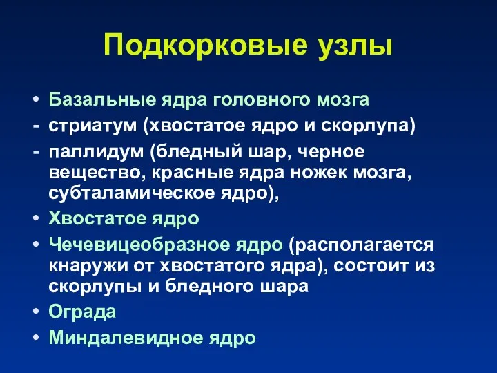 Подкорковые узлы Базальные ядра головного мозга стриатум (хвостатое ядро и