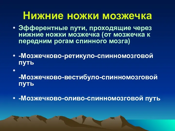 Нижние ножки мозжечка Эфферентные пути, проходящие через нижние ножки мозжечка