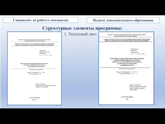 1. Титульный лист. Структурные элементы программы: Педагог дополнительного образования Специалист по работе с молодежью